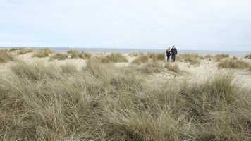 Environmental-Sciences-people-walking-beach-dunes-Southwold_14275.jpg