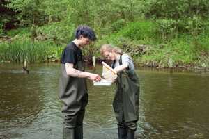 Environmental Sciences students taking water samples