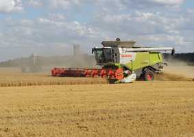 combine harvester in field