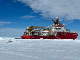 A seal on the ice near a large red ship.